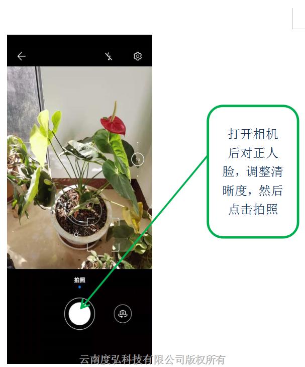 圖片 7